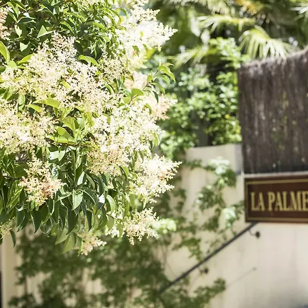 Apartment La Palmeraie *
